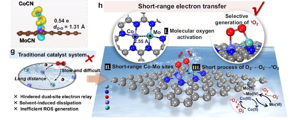 亚洲在线赌博平台导航